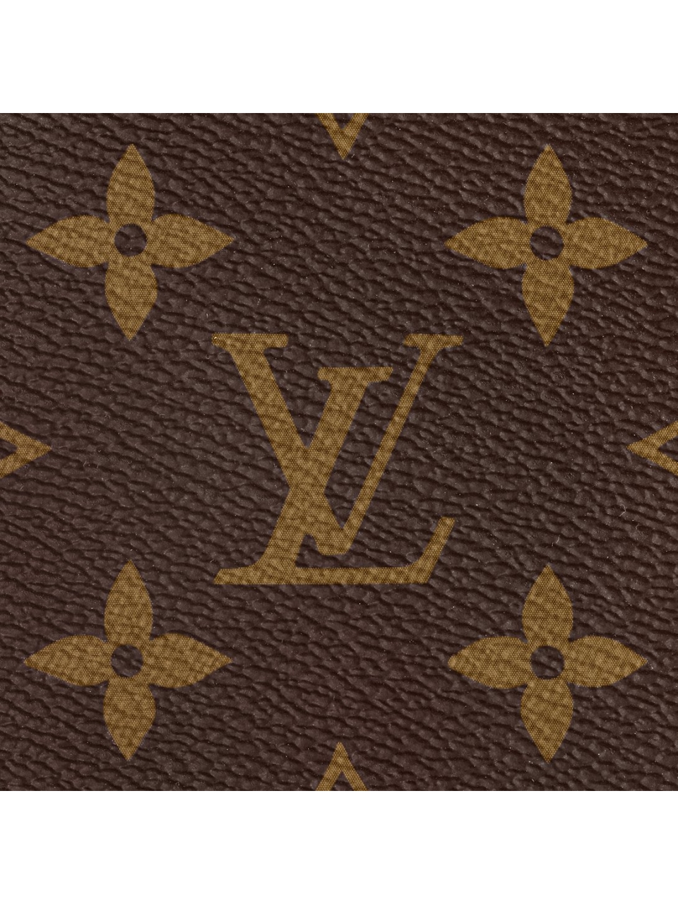 Сумка Louis Vuitton Carry All MM